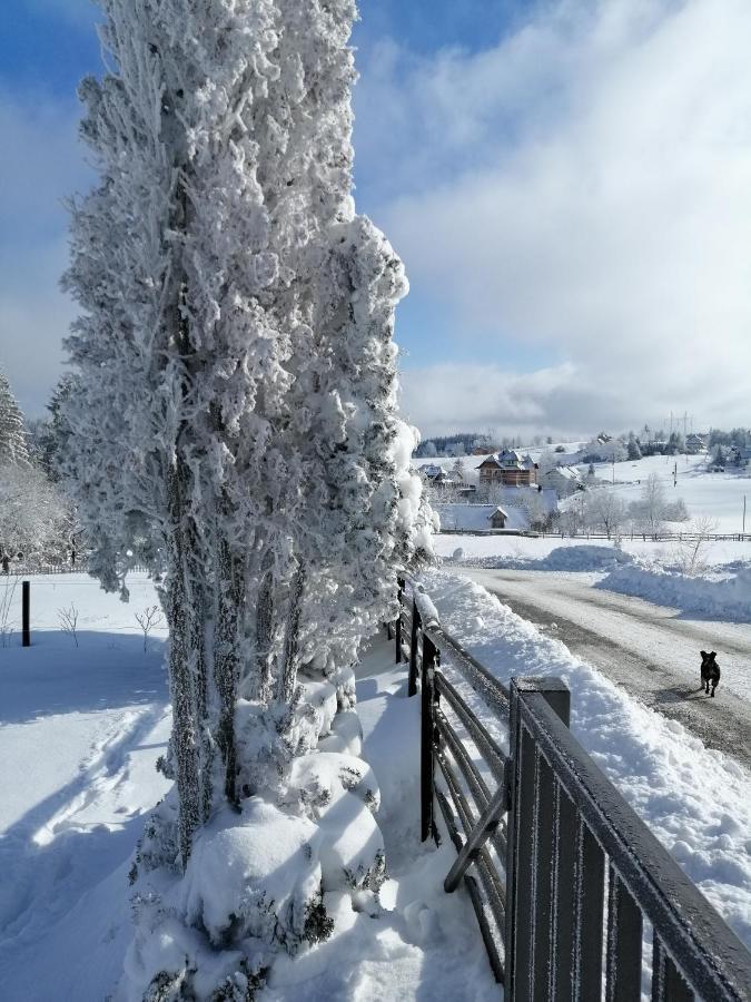 Apartmani Tarin zov Kaludjerske Bare Bagian luar foto