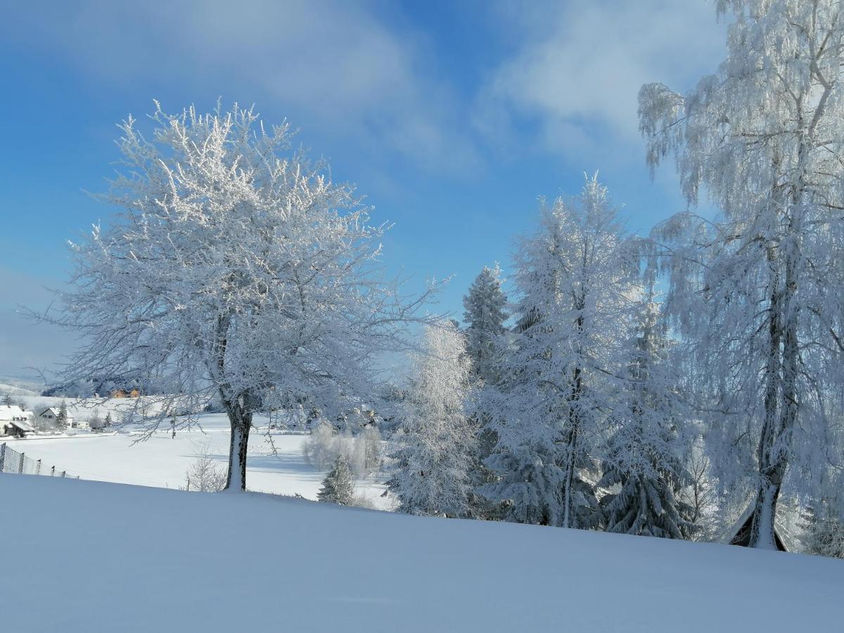 Apartmani Tarin zov Kaludjerske Bare Bagian luar foto