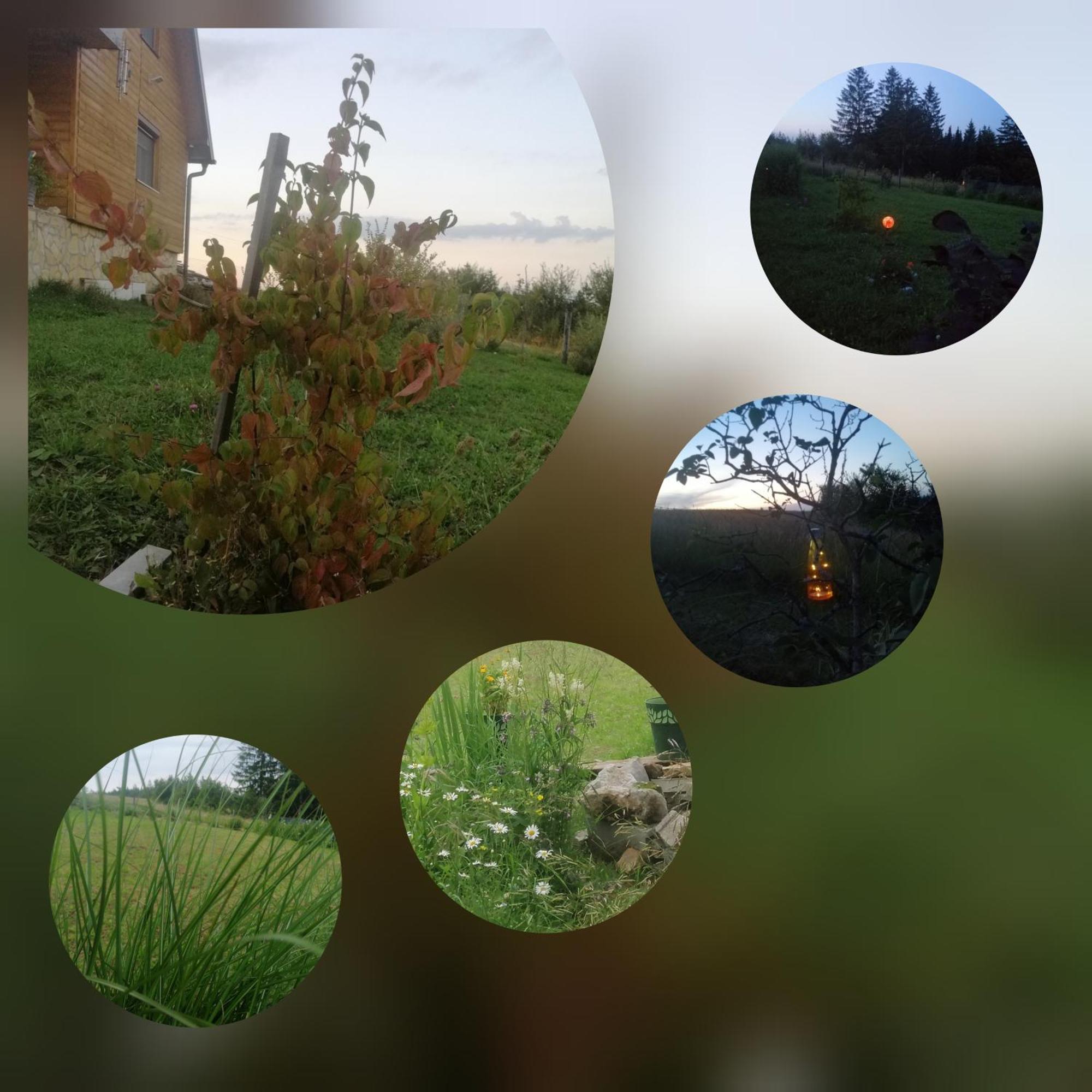 Apartmani Tarin zov Kaludjerske Bare Bagian luar foto
